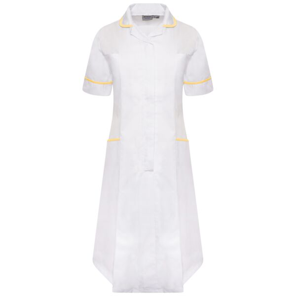 Ladies Dress Thumbnail